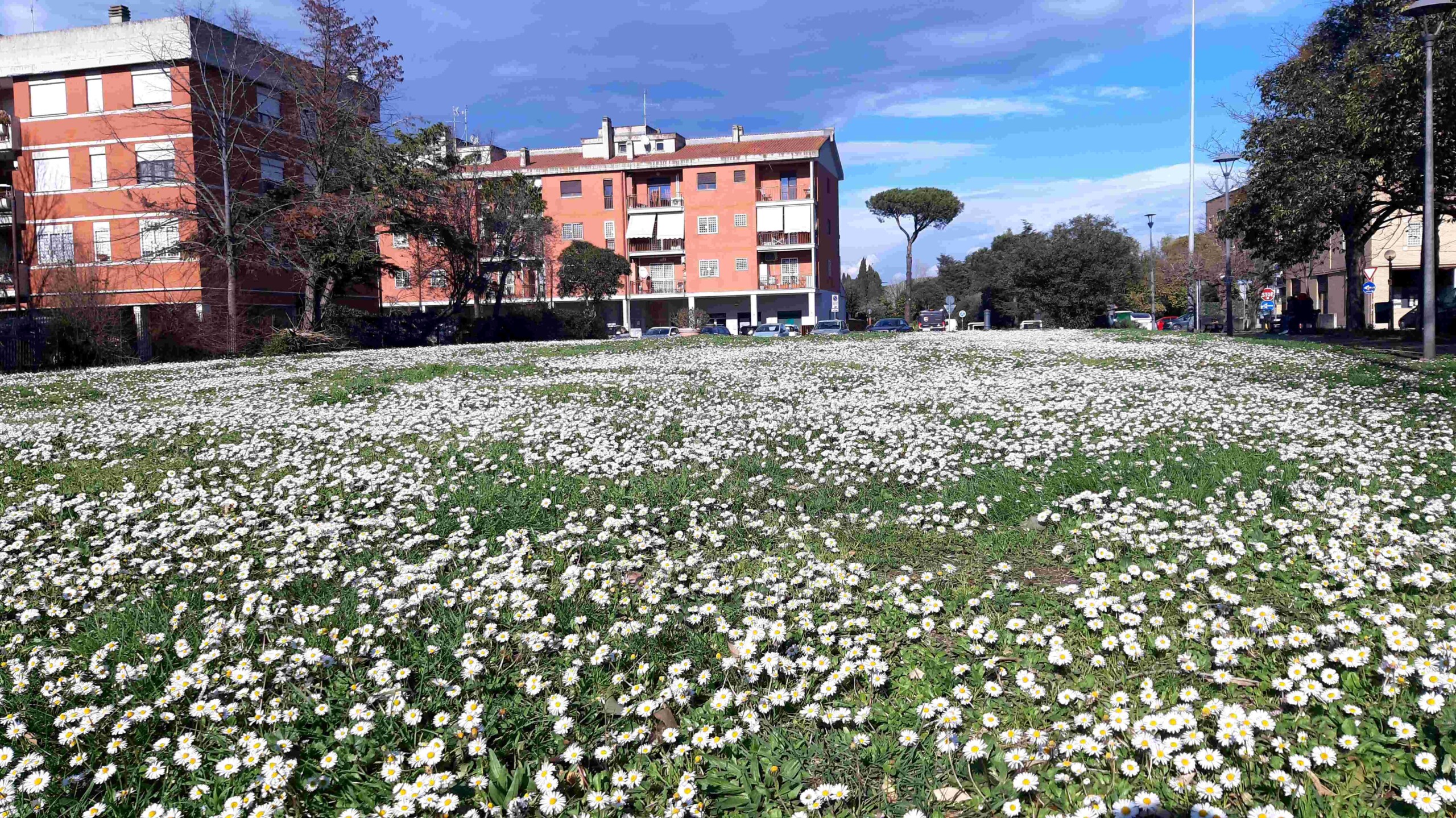 Aperiorto e Festa della Castagna: le prossime iniziative nel quartiere!